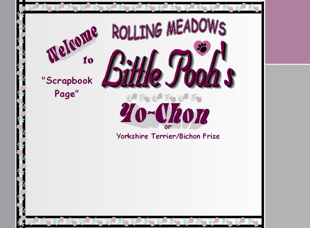 Yochon Puppies - Rolling Meadows Puppies