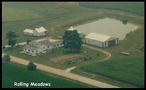 Rolling Meadows Puppies Photo