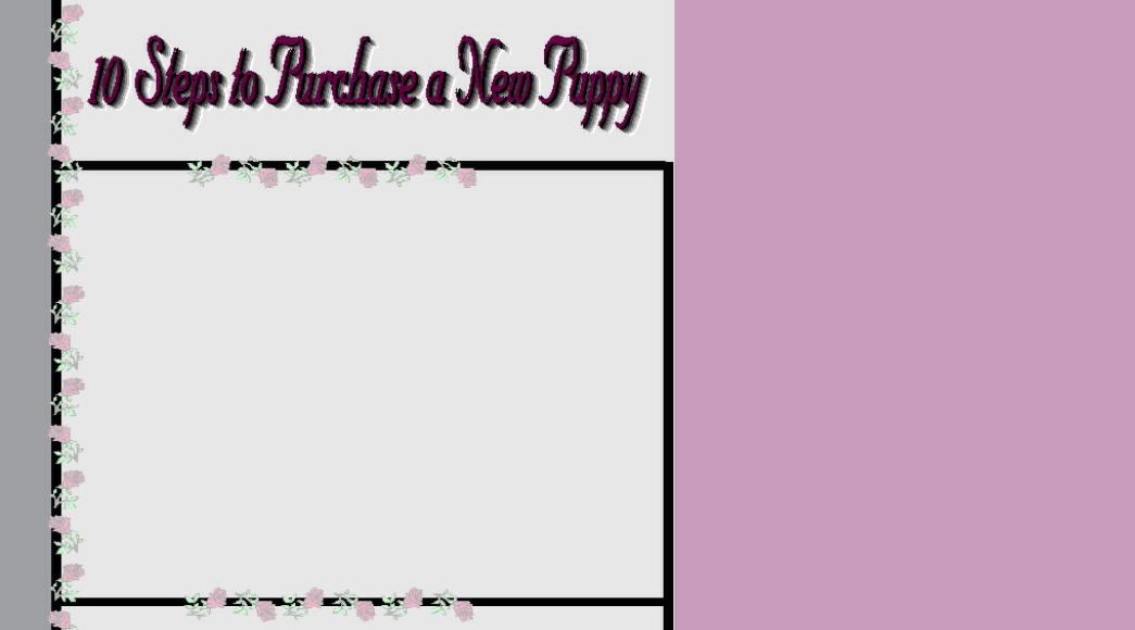 10 Steps to Purchase A Puppy, Rolling Meadows Puppies