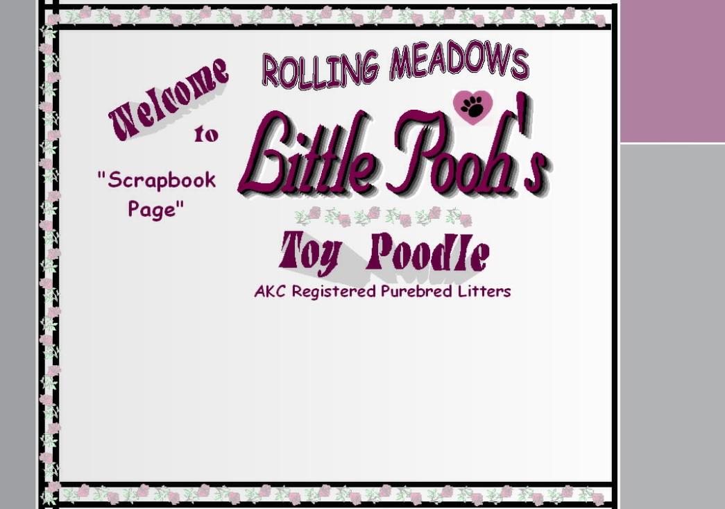 Toy Poodle Page