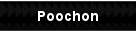 Poochon